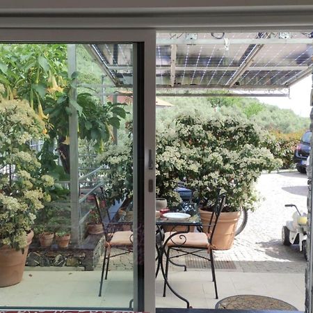 キアーヴァリLa Casa Negli Uliviアパートメント エクステリア 写真